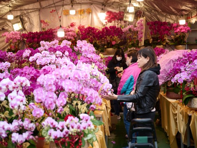 Lunar New Year Fairs Open Citywide to Kick Off Hong Kong’s Year of the Horse 2026 Lunar New Year Fairs Hong Kong Tourism Board