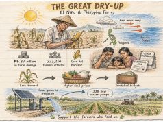 How El Niño Is Wrecking the Philippines’ Farms El Nino and Farms editorial